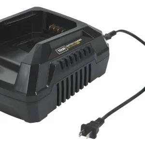 Finale Aktion Texas 40 Volt Ladegerät 40V Standard Ladegerät